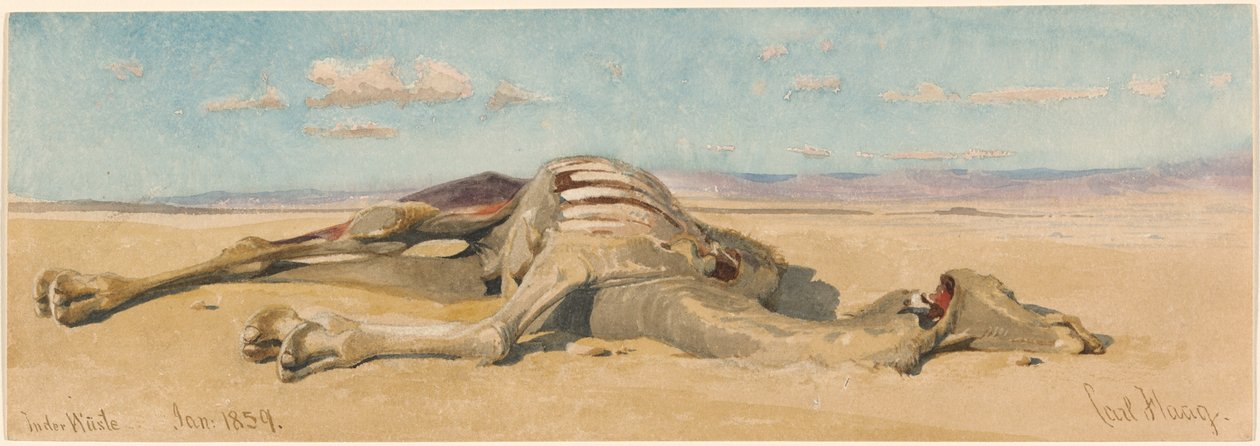 Çölde by Carl Haag