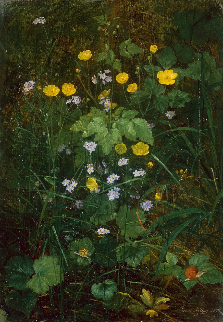 Orman zemininde düğünçiçekleri ve beni unutma by Carl Henrik Koch Moller