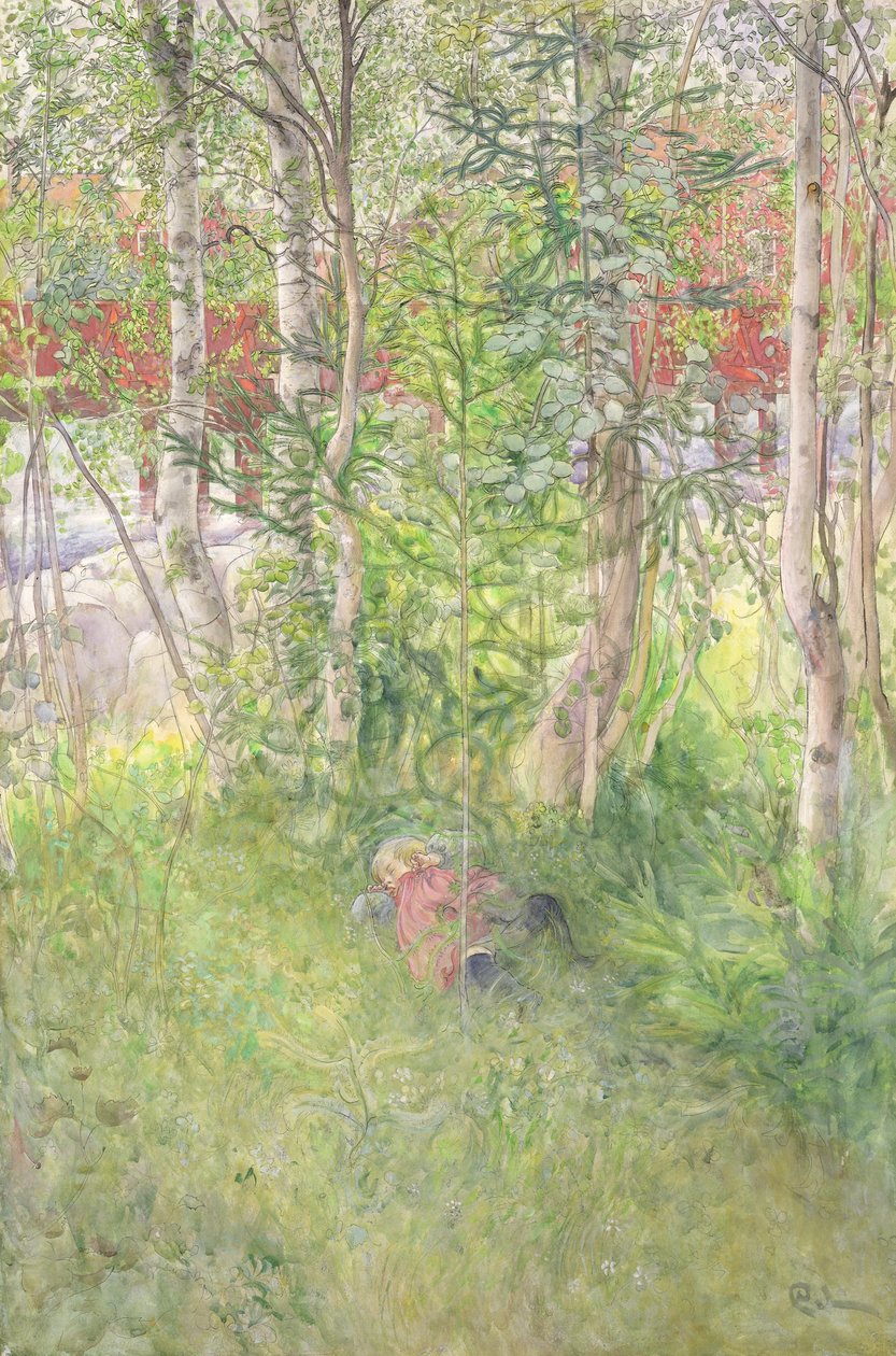 bir şekerleme açık havada by Carl Larsson
