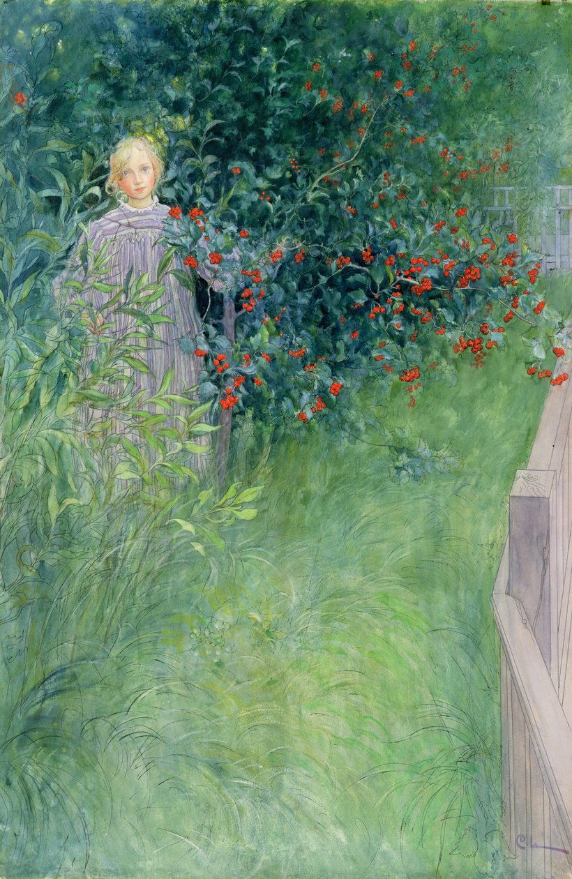 Alıç Çitinde by Carl Larsson