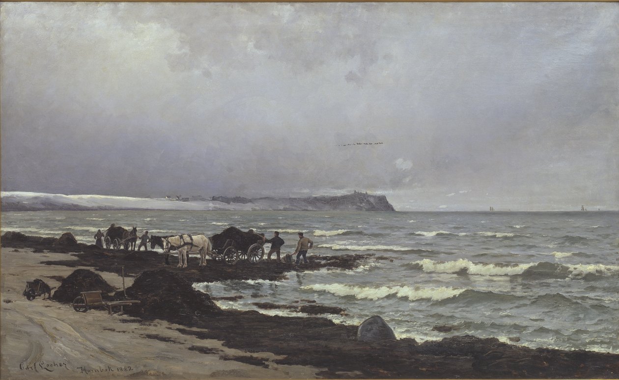 Hornbæk Plajı