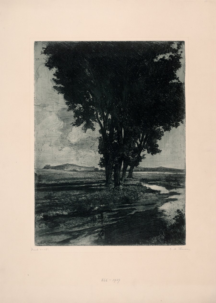 kara kavaklar by Carl Maria Thuma