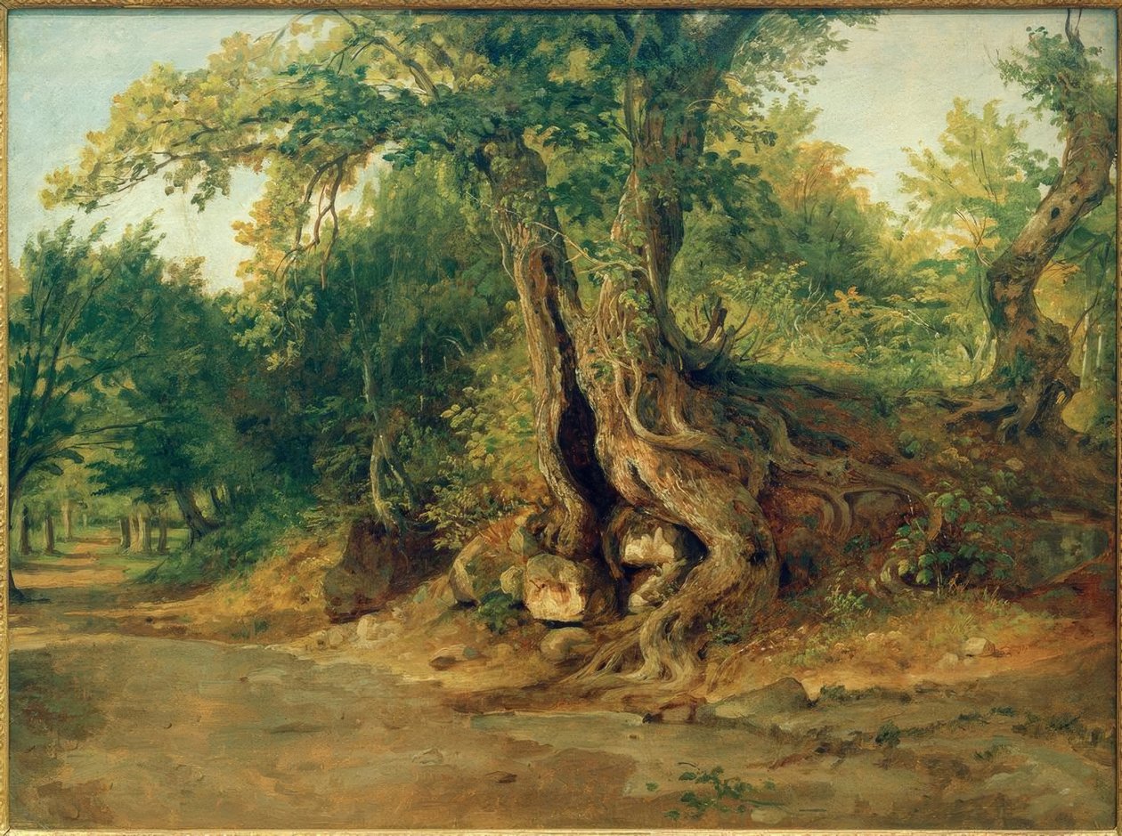 C. Morgenstern, Ariccia yakınlarında holm meşe ağaçlarıyla dolu koru by Carl Morgenstern