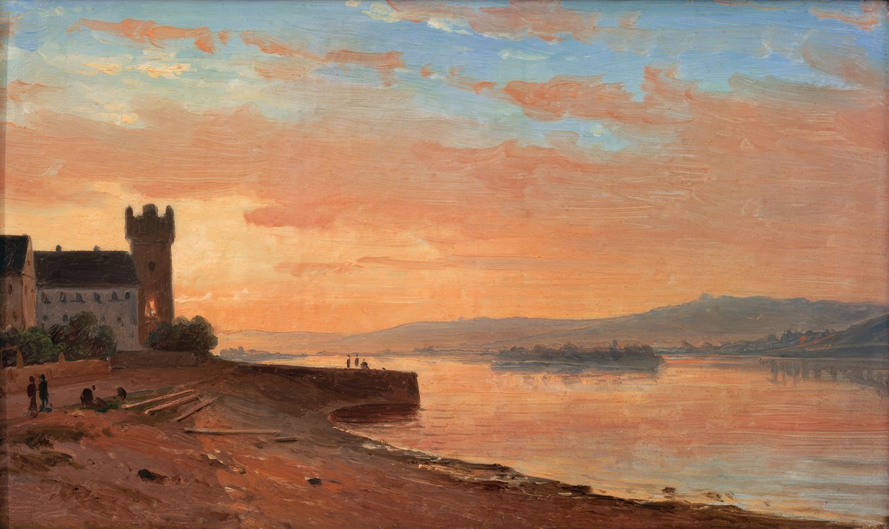 Rüdesheim yakınlarındaki Ren Nehri