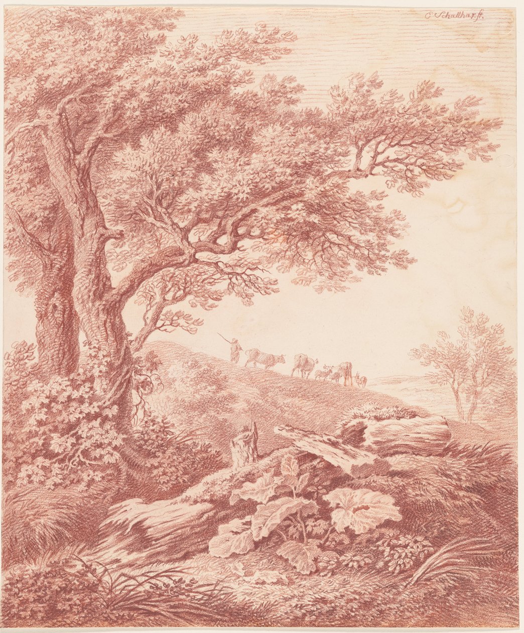 Pastoral Bir Peyzajda Eski Ağaçlar by Carl Philipp Schallhas
