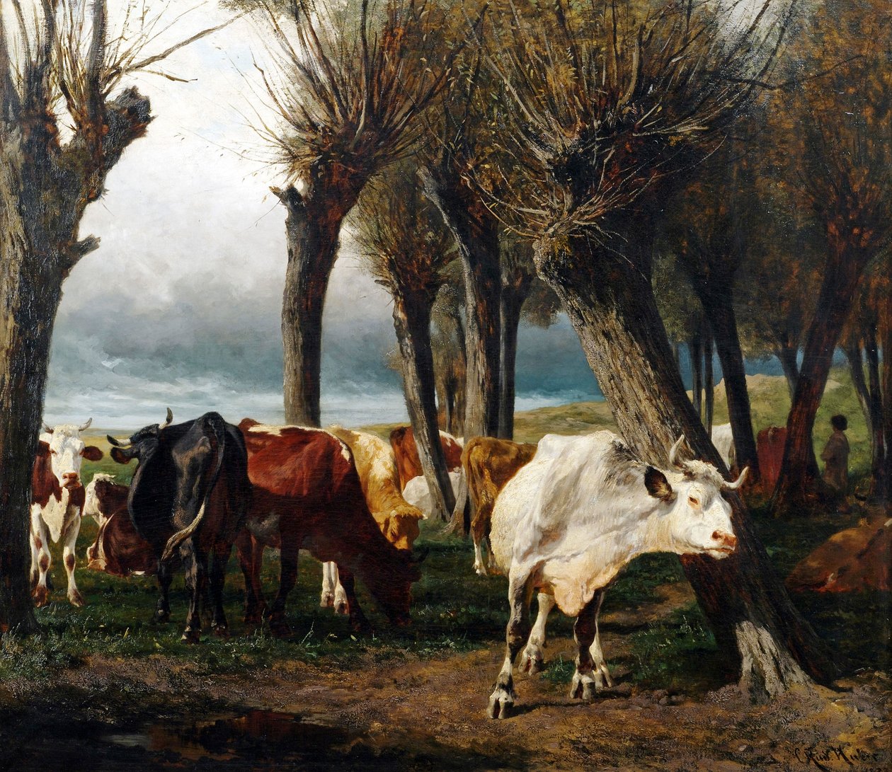  by Carl Rudolf Huber