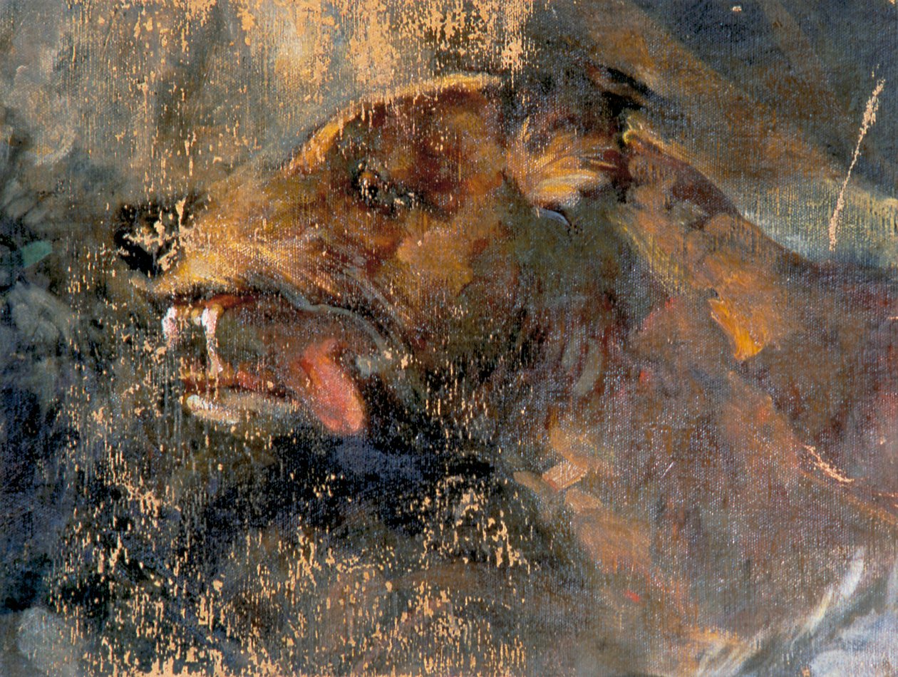 köpek kafası by Carl Rudolf Huber