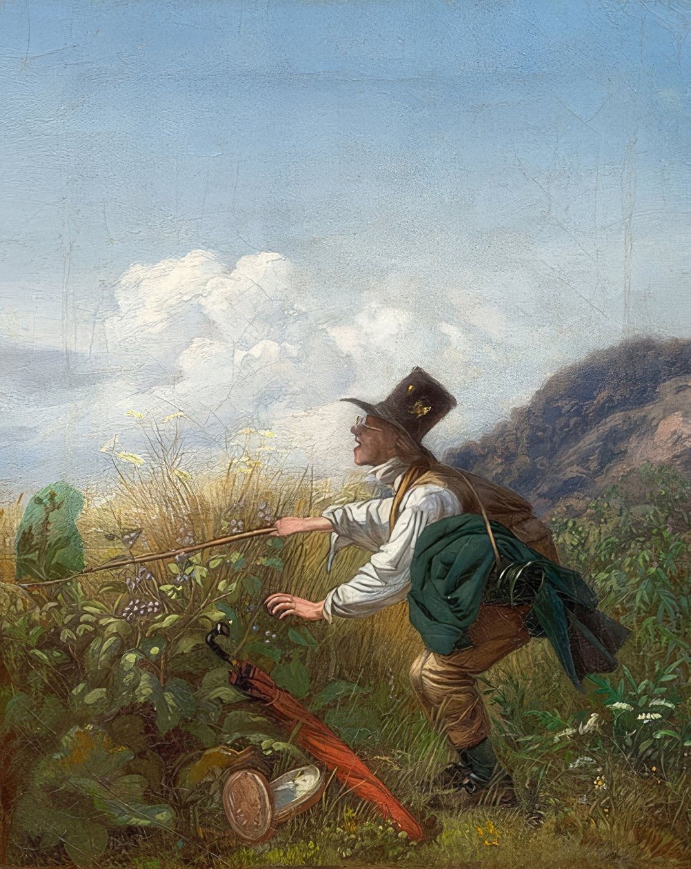 Kelebek avcısı (botanikçi). 1837 civarında by Carl Spitzweg