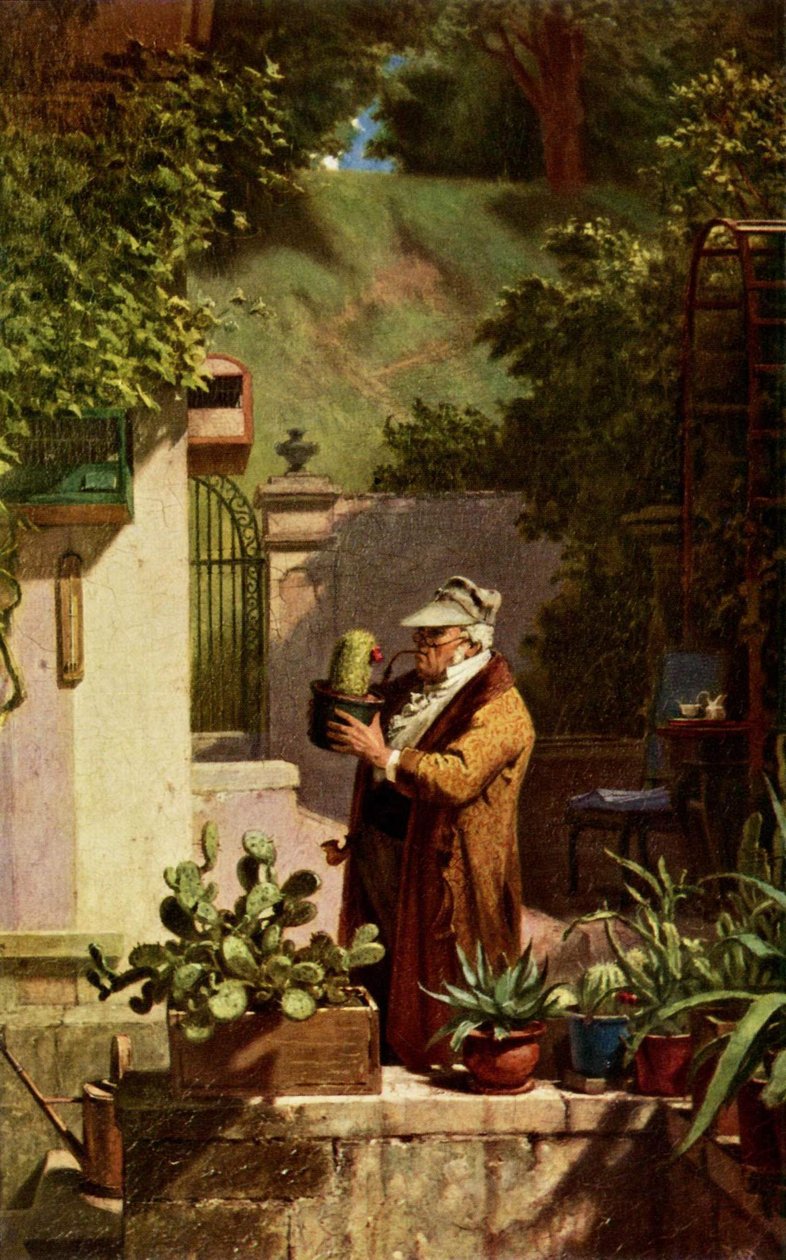 Kaktüs by Carl Spitzweg