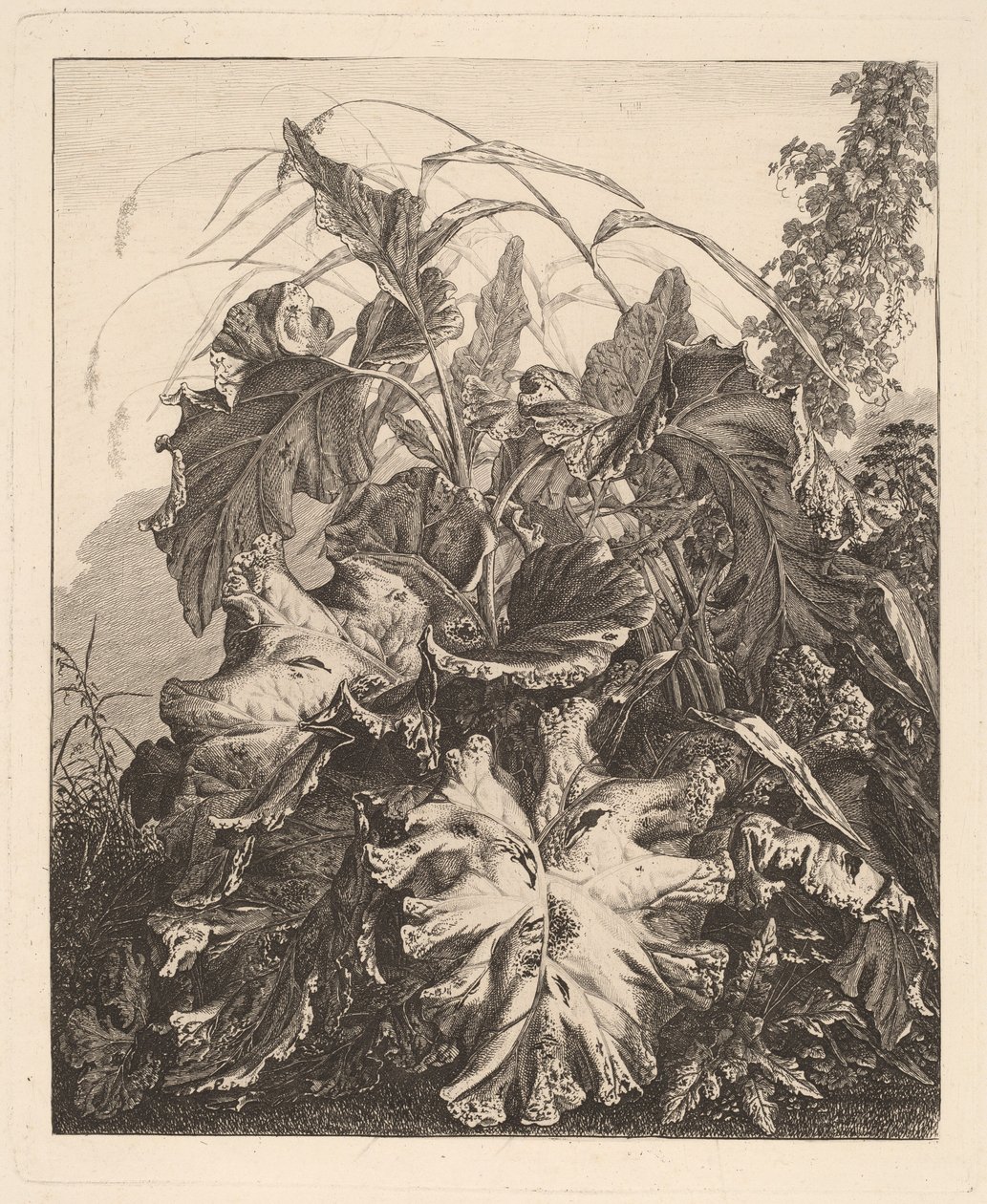 Sazlık ile Yeşillik by Carl Wilhelm Kolbe