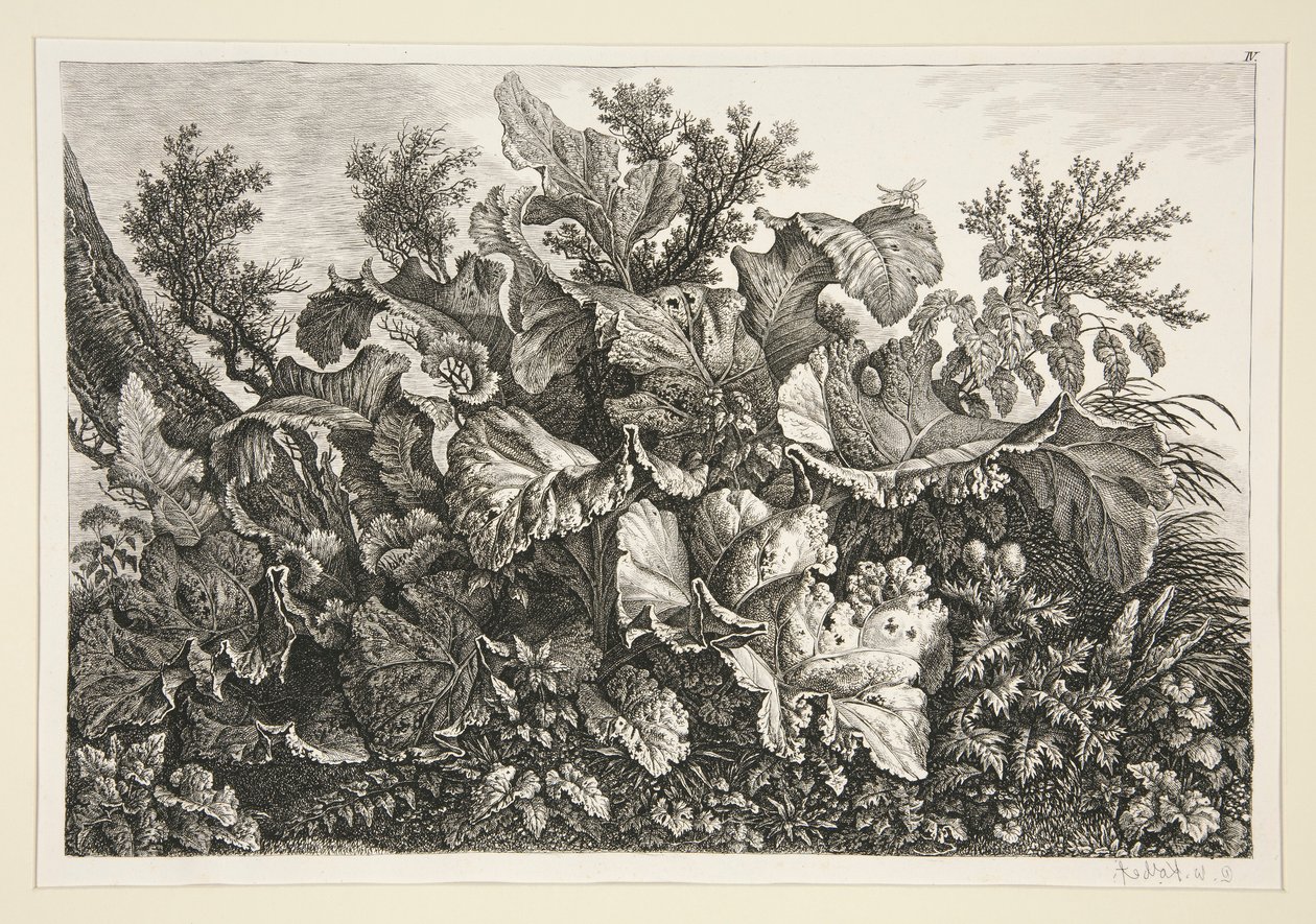 Manzara by Carl Wilhelm Kolbe the elder