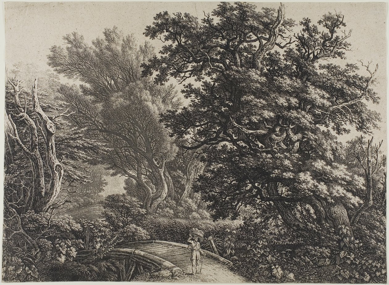 Karışık Bir Ahşapta Rustik Köprü by Carl Wilhelm Kolbe, the elder