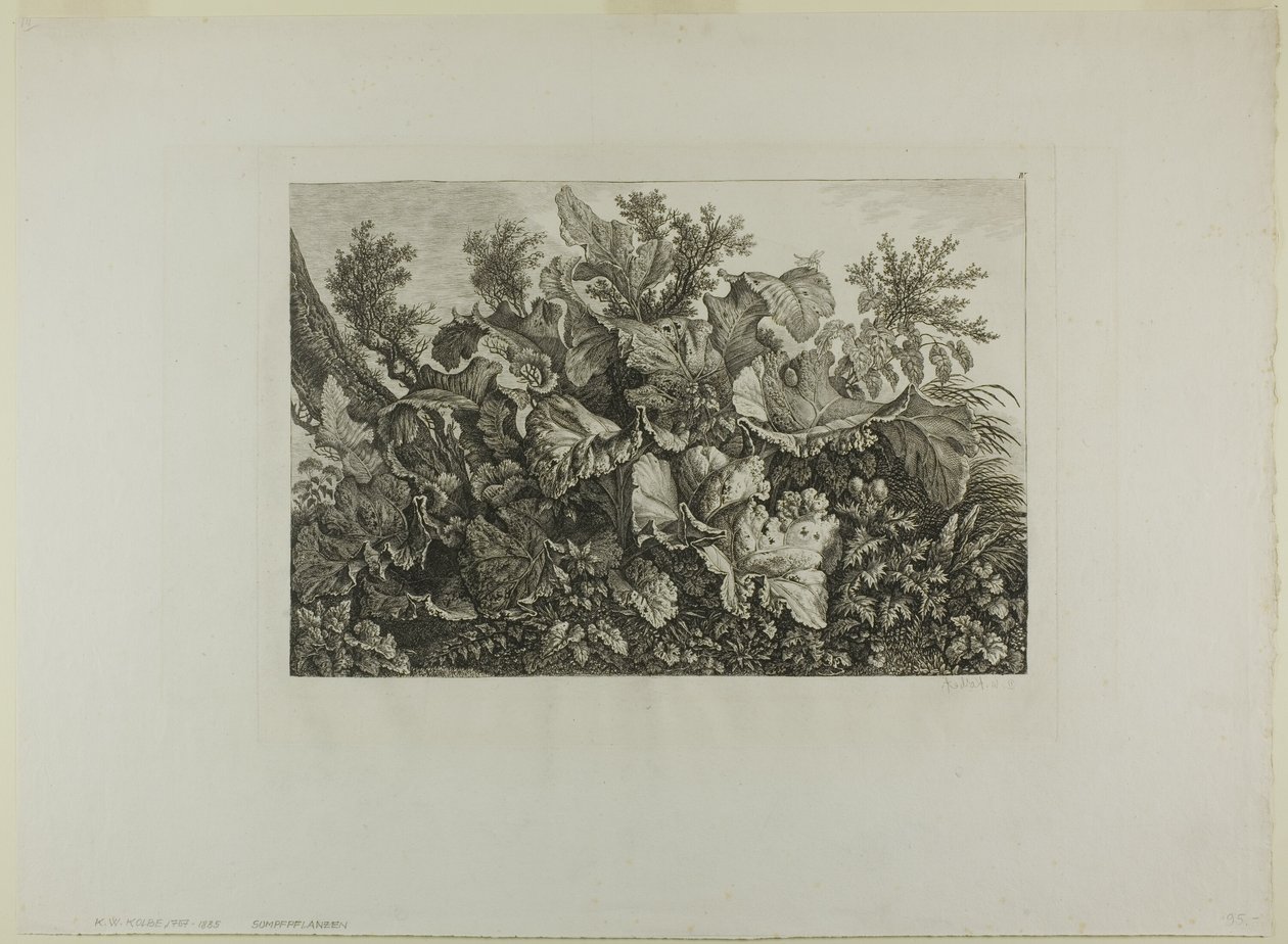 Bataklık Bitkileri by Carl Wilhelm Kolbe, the elder