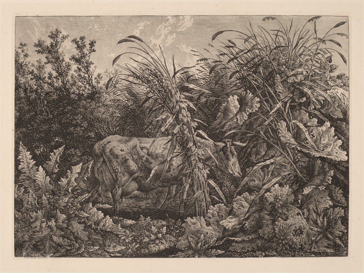 Bataklıktaki İnek by Carl Wilhelm Kolbe, the elder