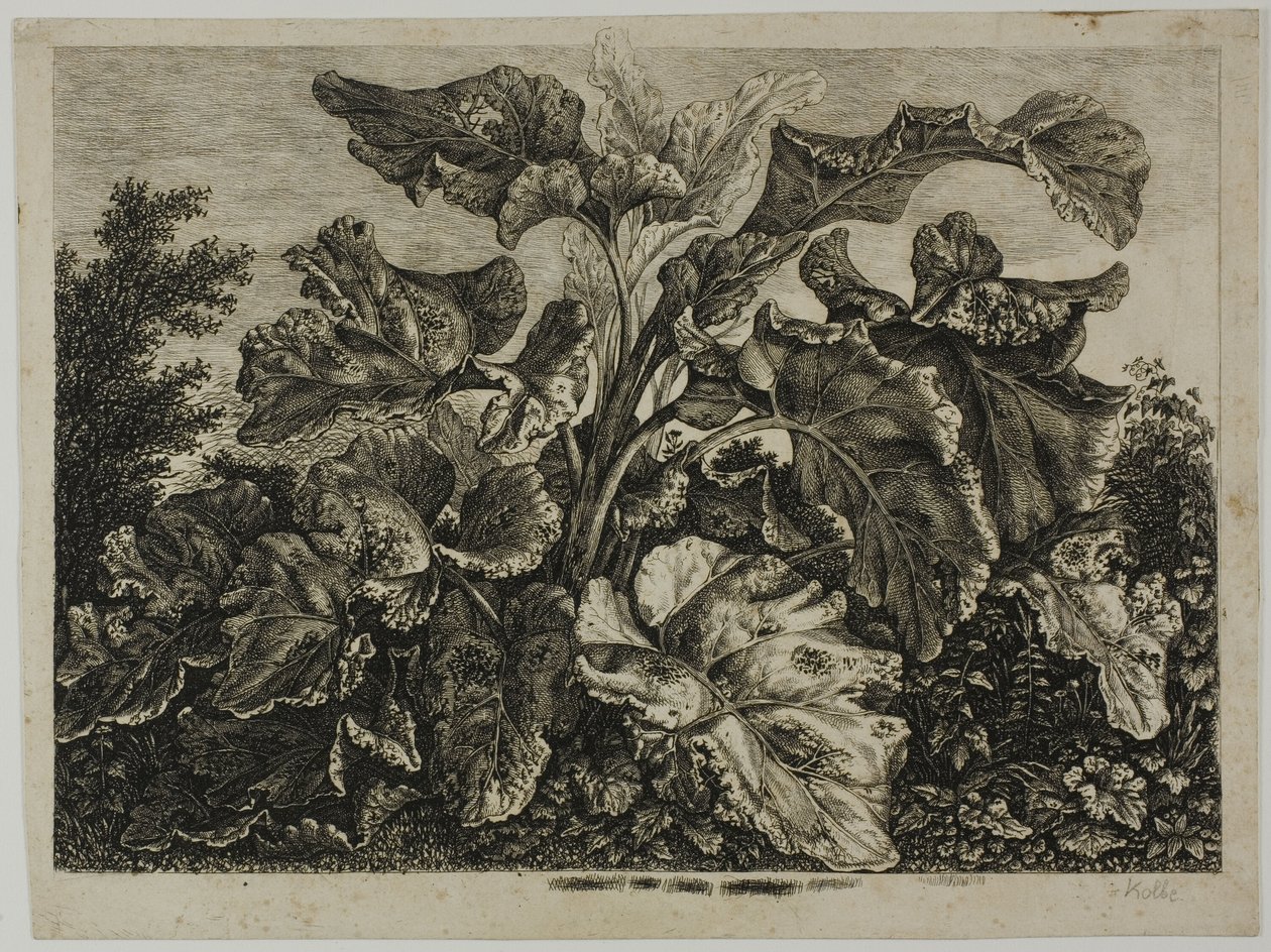 sebze yaprağı by Carl Wilhelm Kolbe, the elder