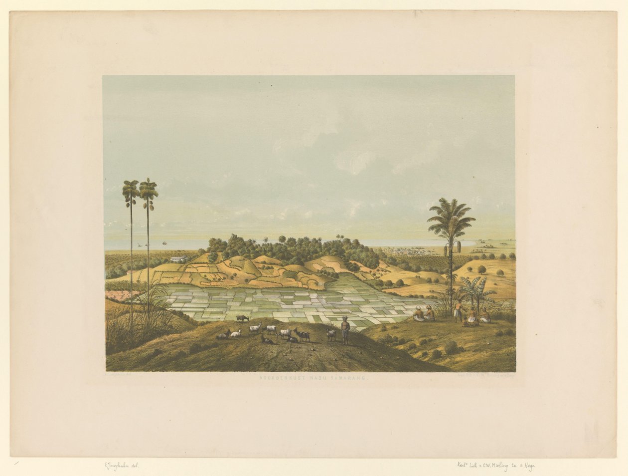 Samarang yakınlarındaki Kuzey sahili Samarang yakınlarındaki bir manzaranın görünümü (nesnedeki başlık) by Carl Wilhelm Mieling (possibly)