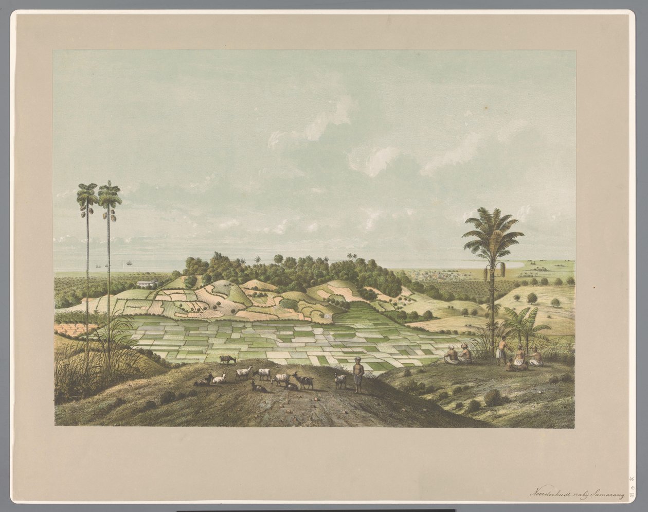 Semarang yakınlarındaki kuzey sahili by Carl Wilhelm Mieling (possibly)
