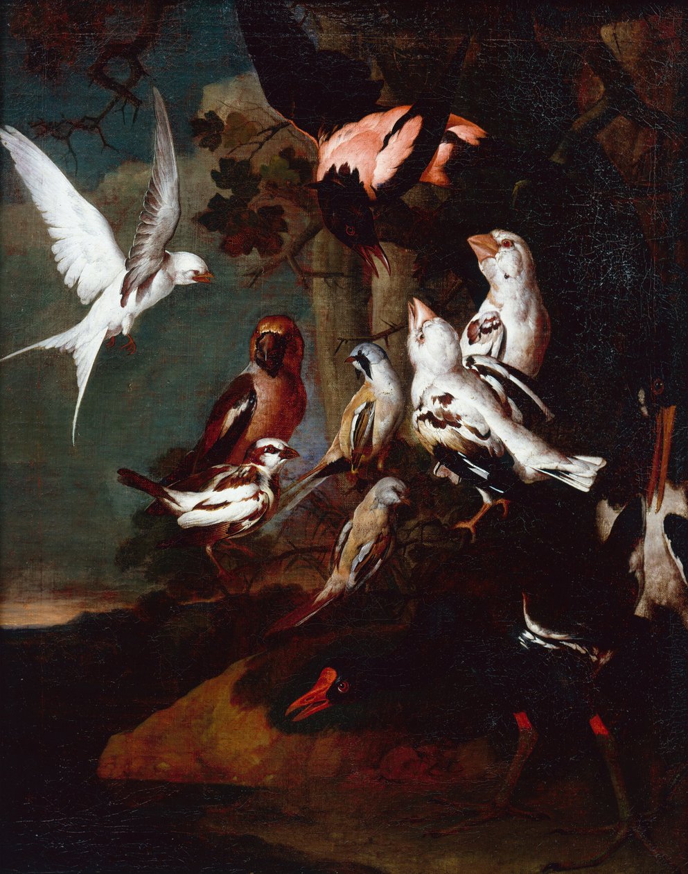Ormanlık Nehir Manzarasında Bir Mağribi, Kırlangıç, İspinoz ve diğer kuşlar (tuval üzerine yağlı boya) by Carl Wilhelm de Hamilton