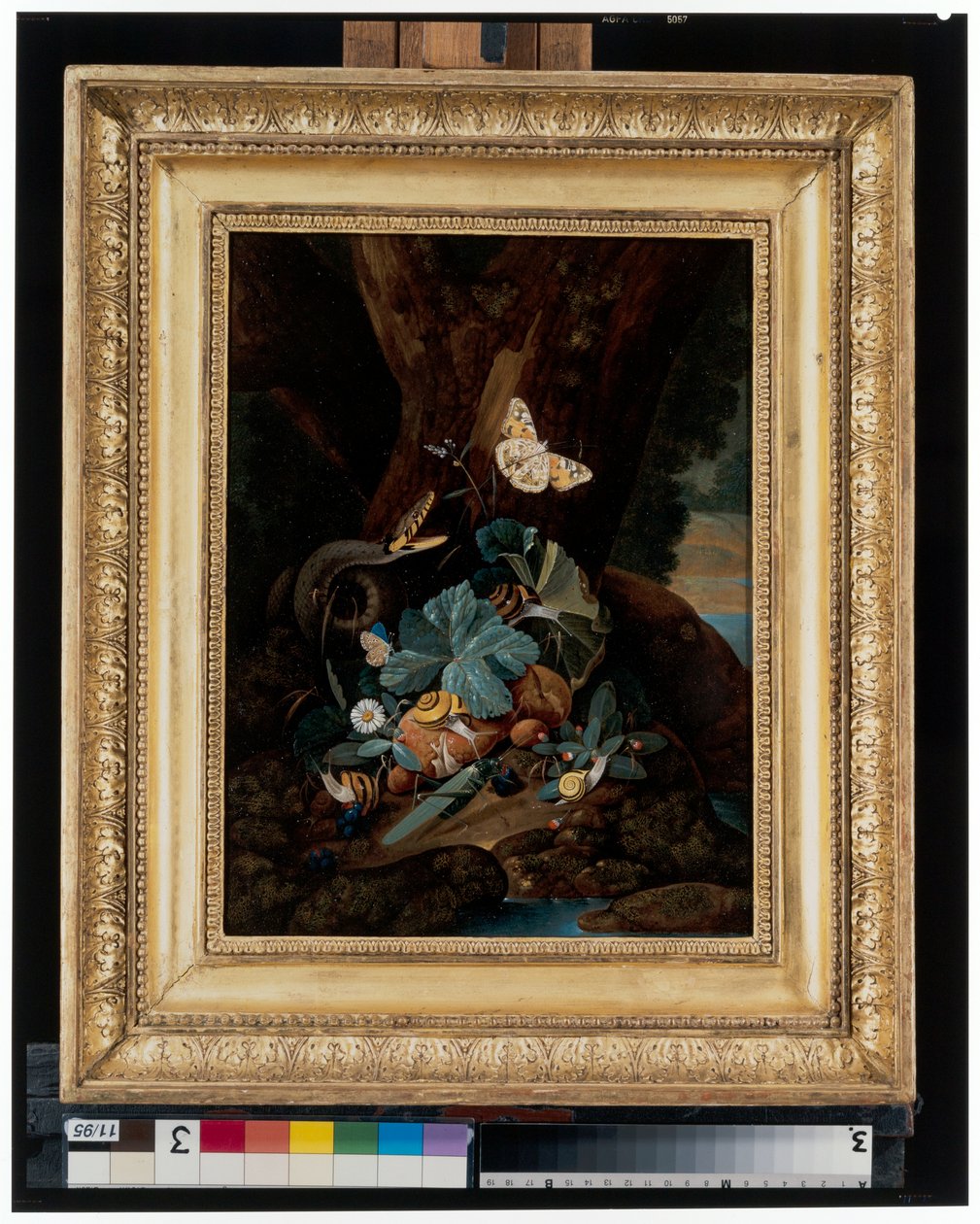 Orman zemini hala salyangozlar, yılanlar, kertenkeleler ve kelebeklerle dolu by Carl Wilhelm de Hamilton