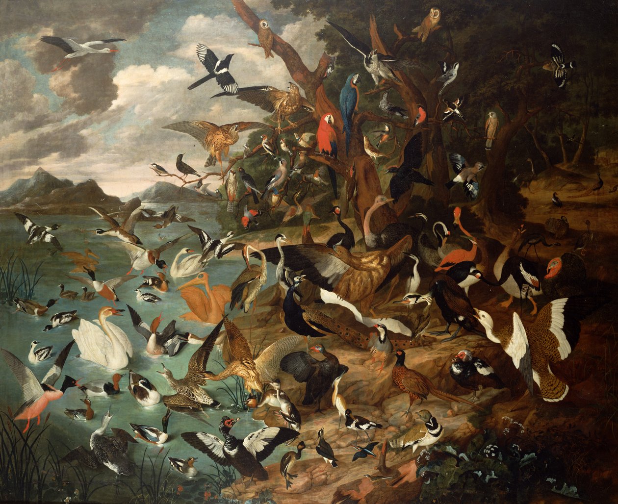 Kuşlar Parlamentosu by Carl Wilhelm de Hamilton