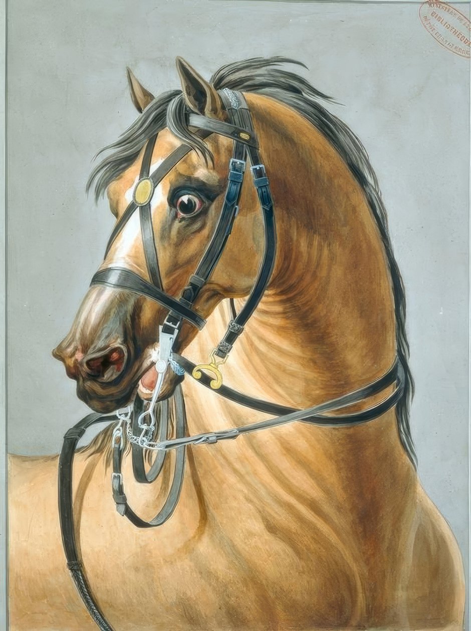 Topçu atları için dizgin by Carle Vernet