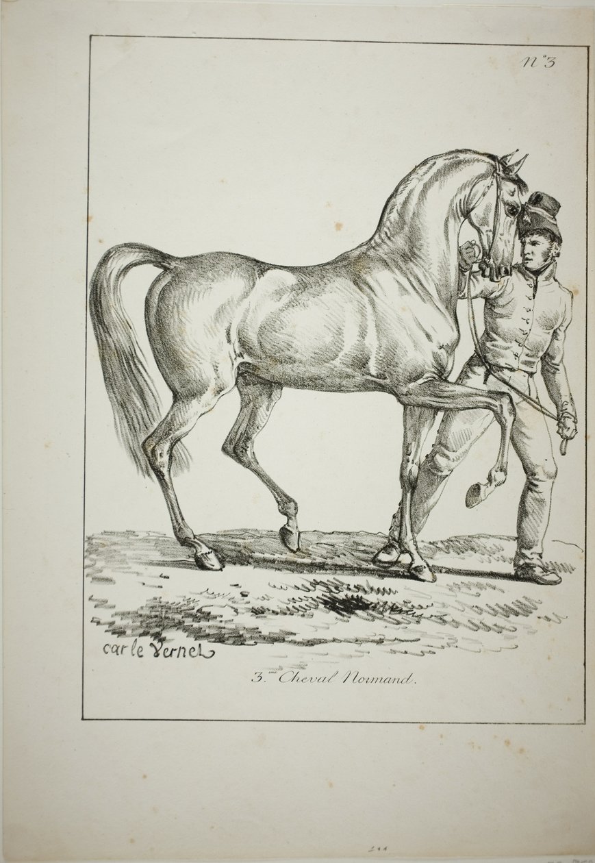 Kraliyet Muhafızı, Norman Cavalier, Tam Elbiseli Değil ve At, No. 3 by Carle Vernet