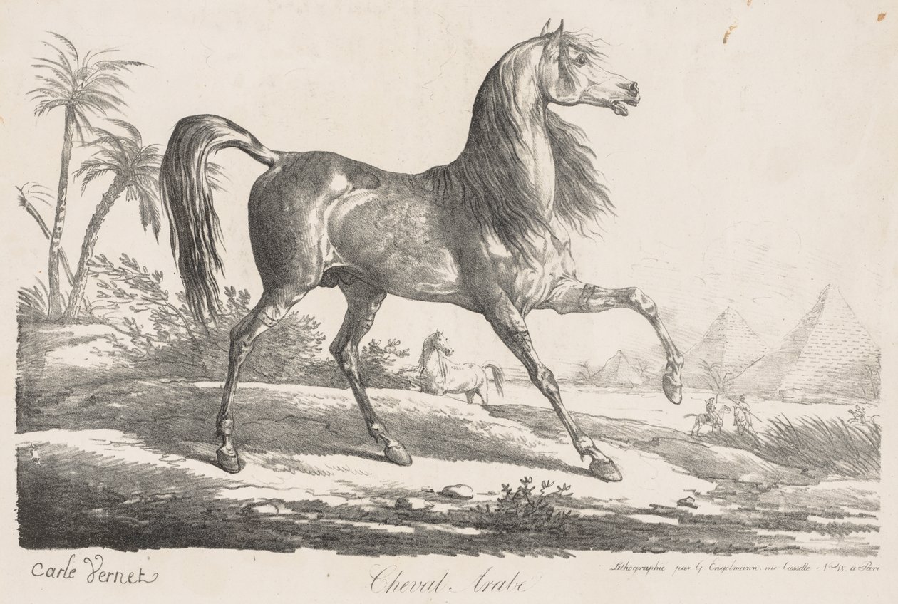 At Süiti: Arap Atı by Carle Vernet