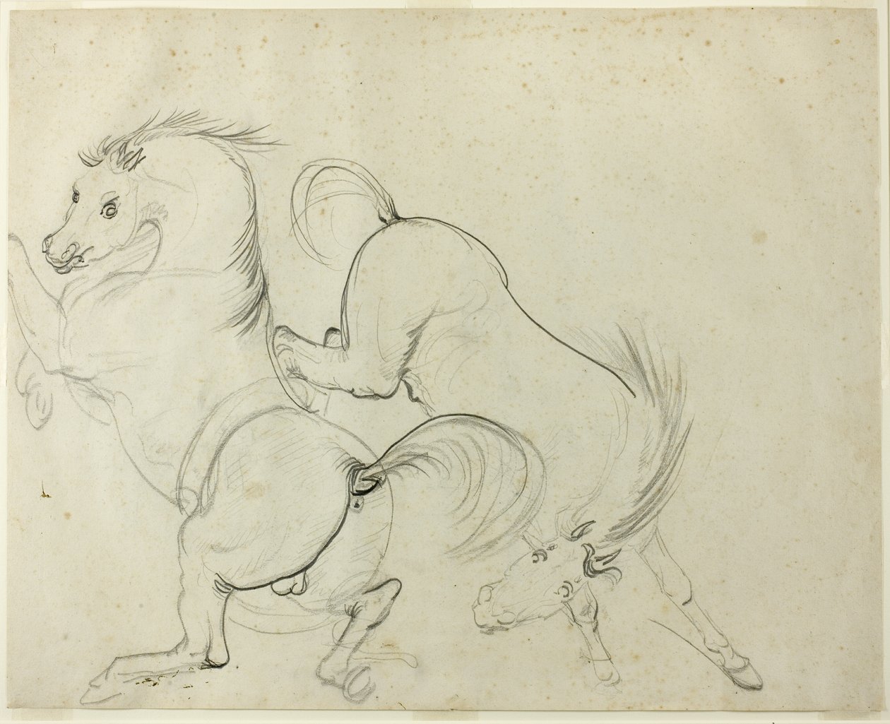 Cavorting İki At (rekto); Tekme Atın Üzerindeki Adam (verso) by Carle Vernet