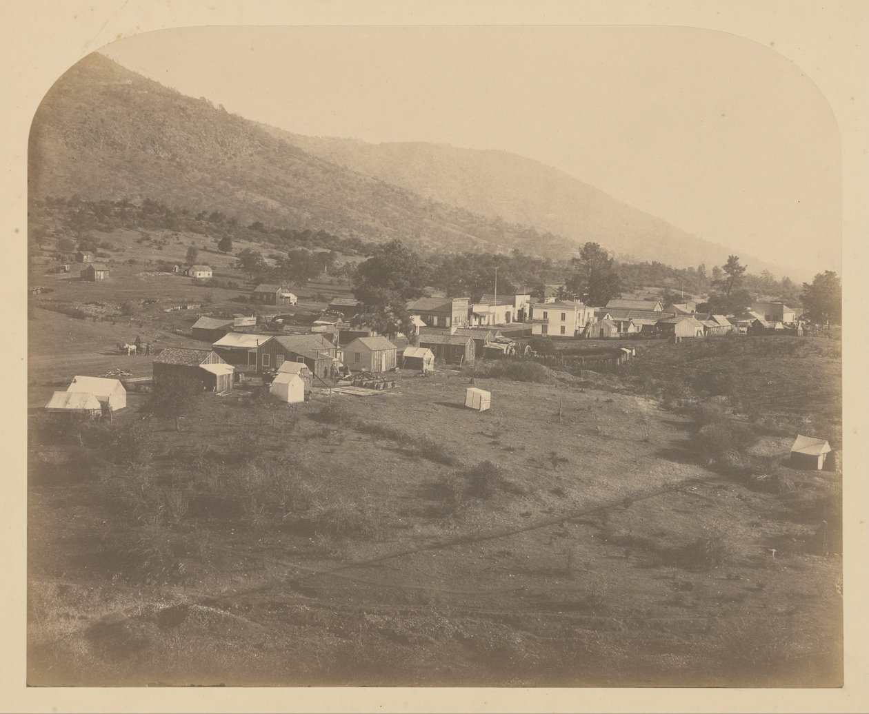 (Ayı Vadisi by Carleton E. Watkins