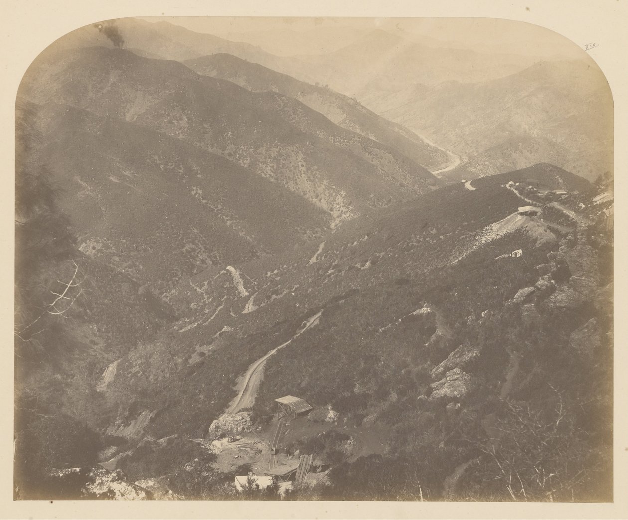 (Josephine ve Çam Ağacı) by Carleton E. Watkins