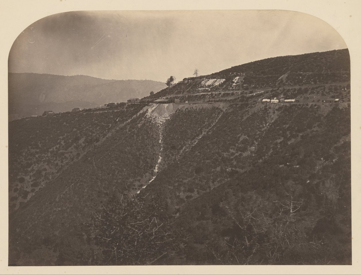 (Çam Ağacı Madeni) by Carleton E. Watkins