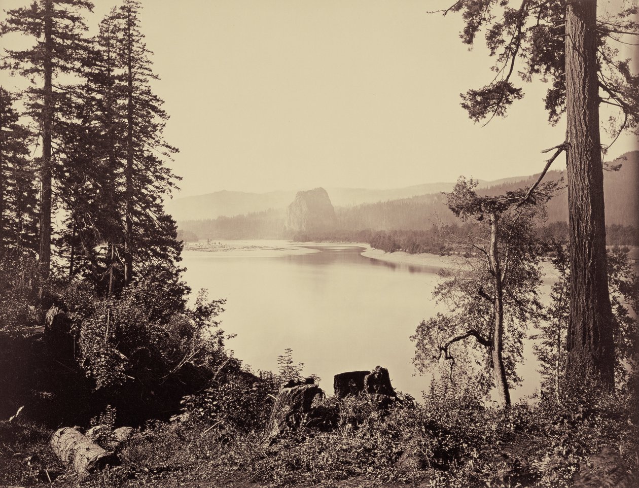 Castle Rock, Columbia Nehri by Carleton E. Watkins