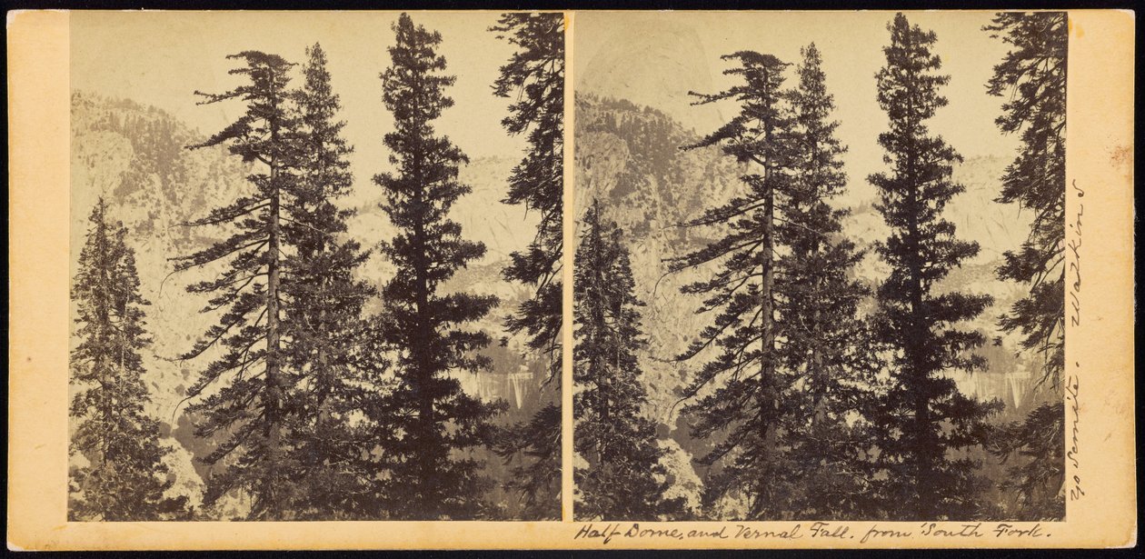 South Fork