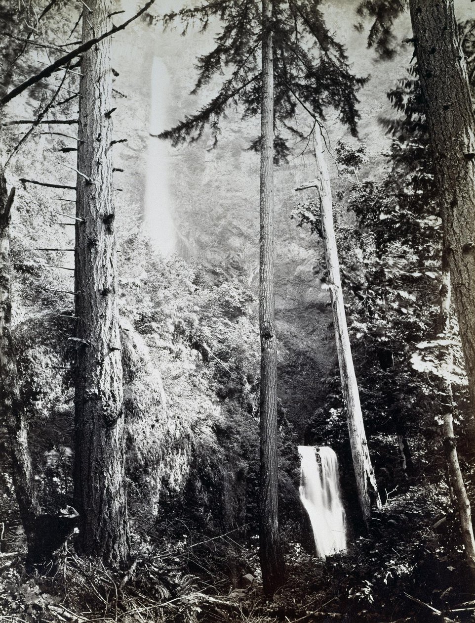 Multnomah Şelalesi, Cascades, Columbia Nehri by Carleton E. Watkins