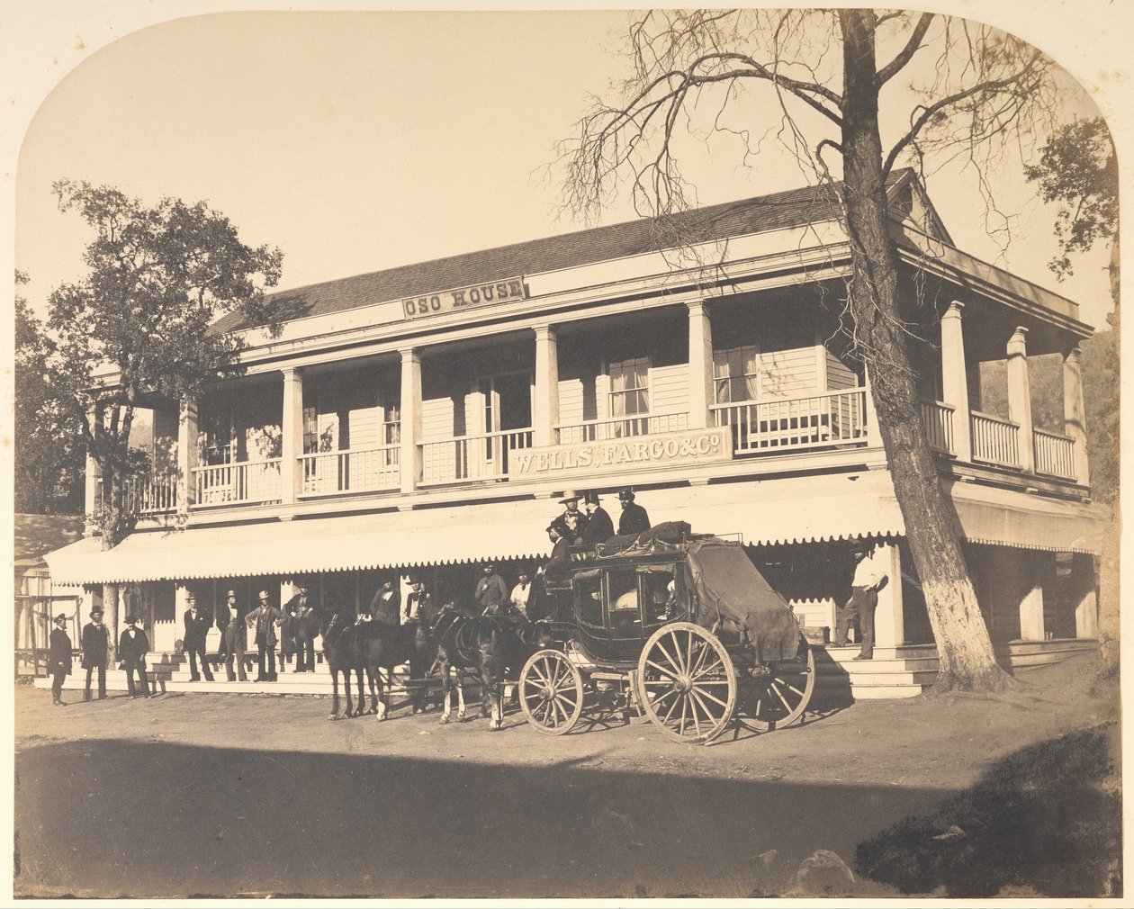 Oso Evi by Carleton E. Watkins