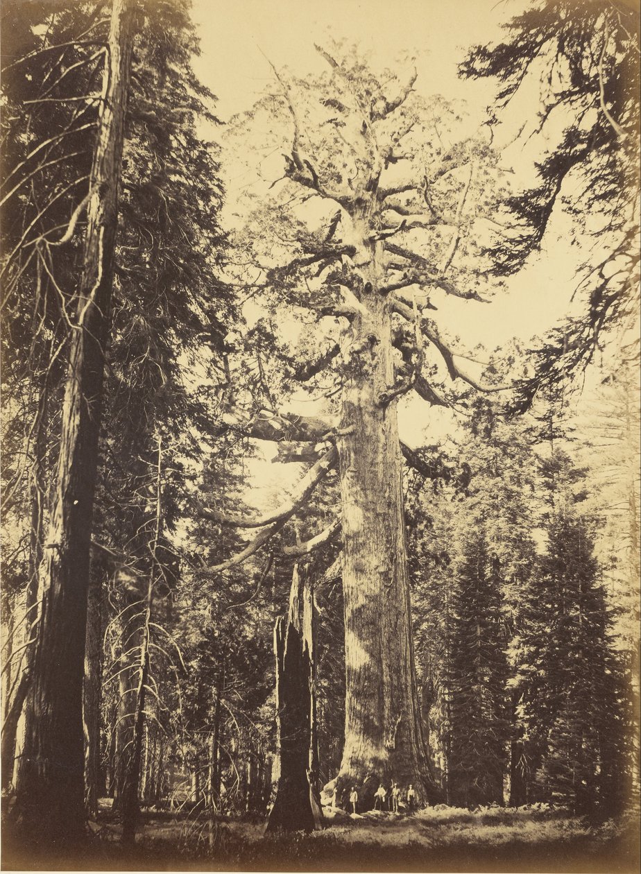 Sekoya Devi by Carleton E. Watkins