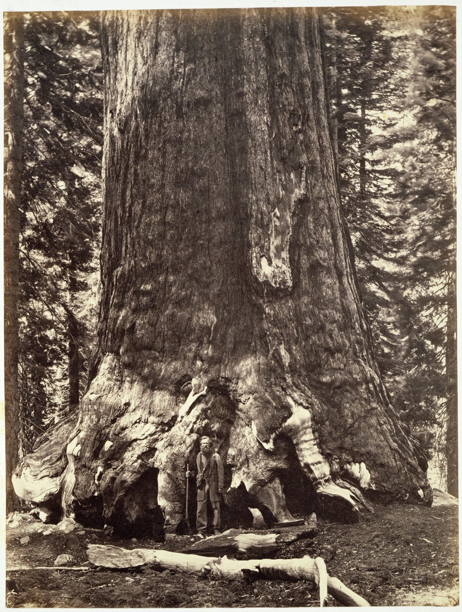 Boz Devin Üssü, Yosemite Kitabından: Yosemite Vadisi ve Sierra Nevada