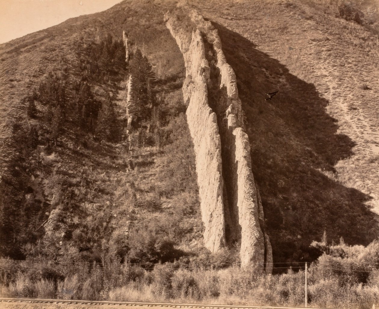  by Carleton E. Watkins