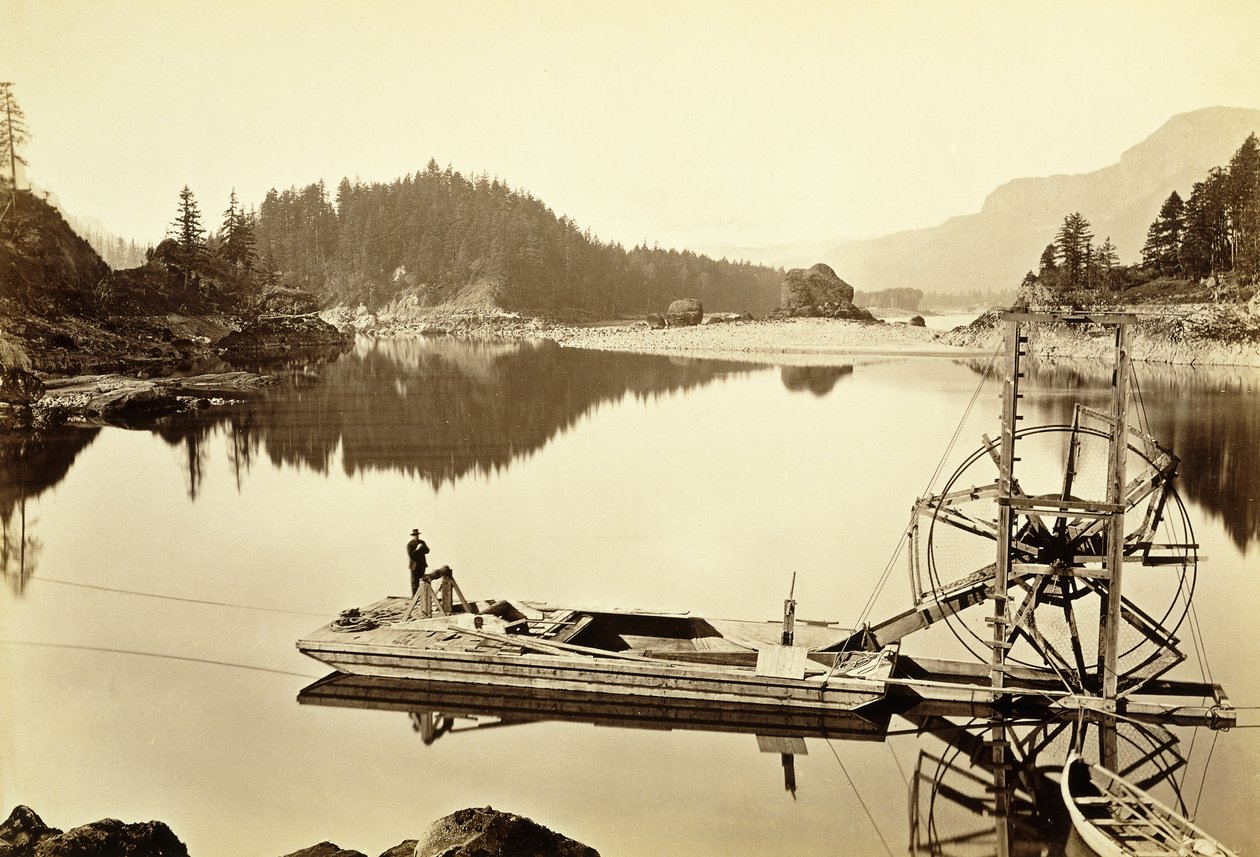 Yüzen Somon Çarkı, Cascades, 1867 by Carleton E. Watkins