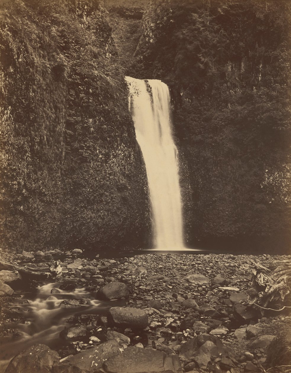 Aşağı Multnomah Şelalesi, Columbia Nehri,1867 (fotoğraf) by Carleton Emmons Watkins