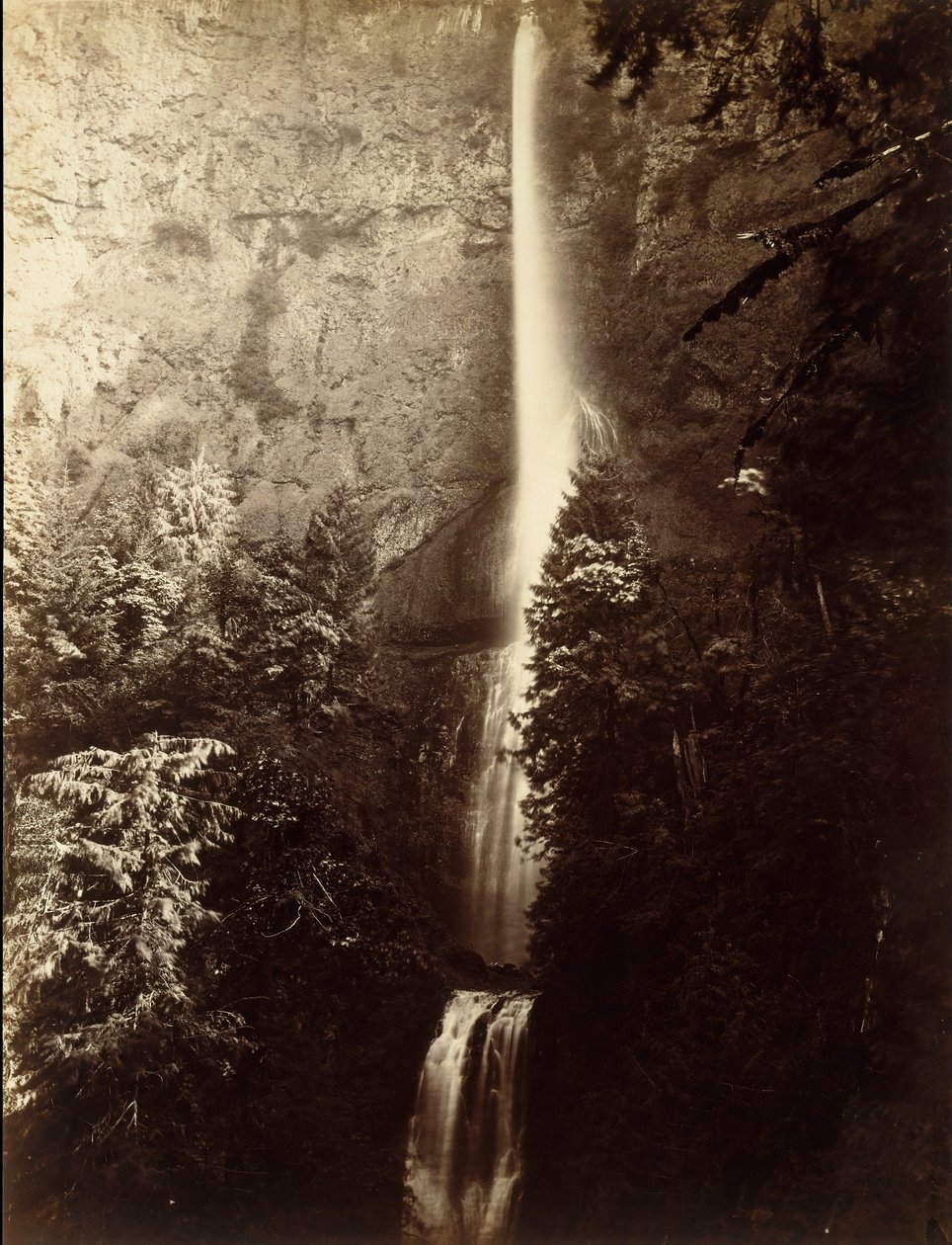 Multnomah Şelalesi Çağlayanı, Columbia Nehri, 1867. by Carleton Emmons Watkins