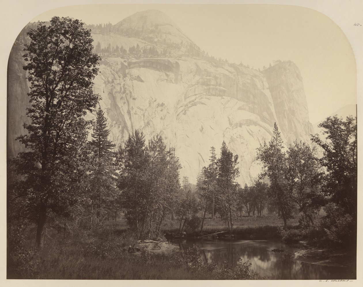 Kraliyet Kemerleri, Yosemite Nehri Manzaralı by Carleton E. Watkins