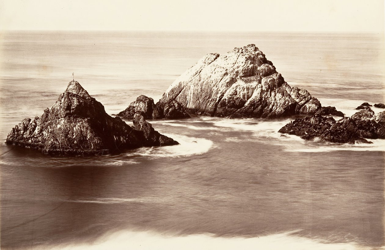 Seal Rocks, 1868-69, basılmış yaklaşık. 1876. by Carleton Emmons Watkins