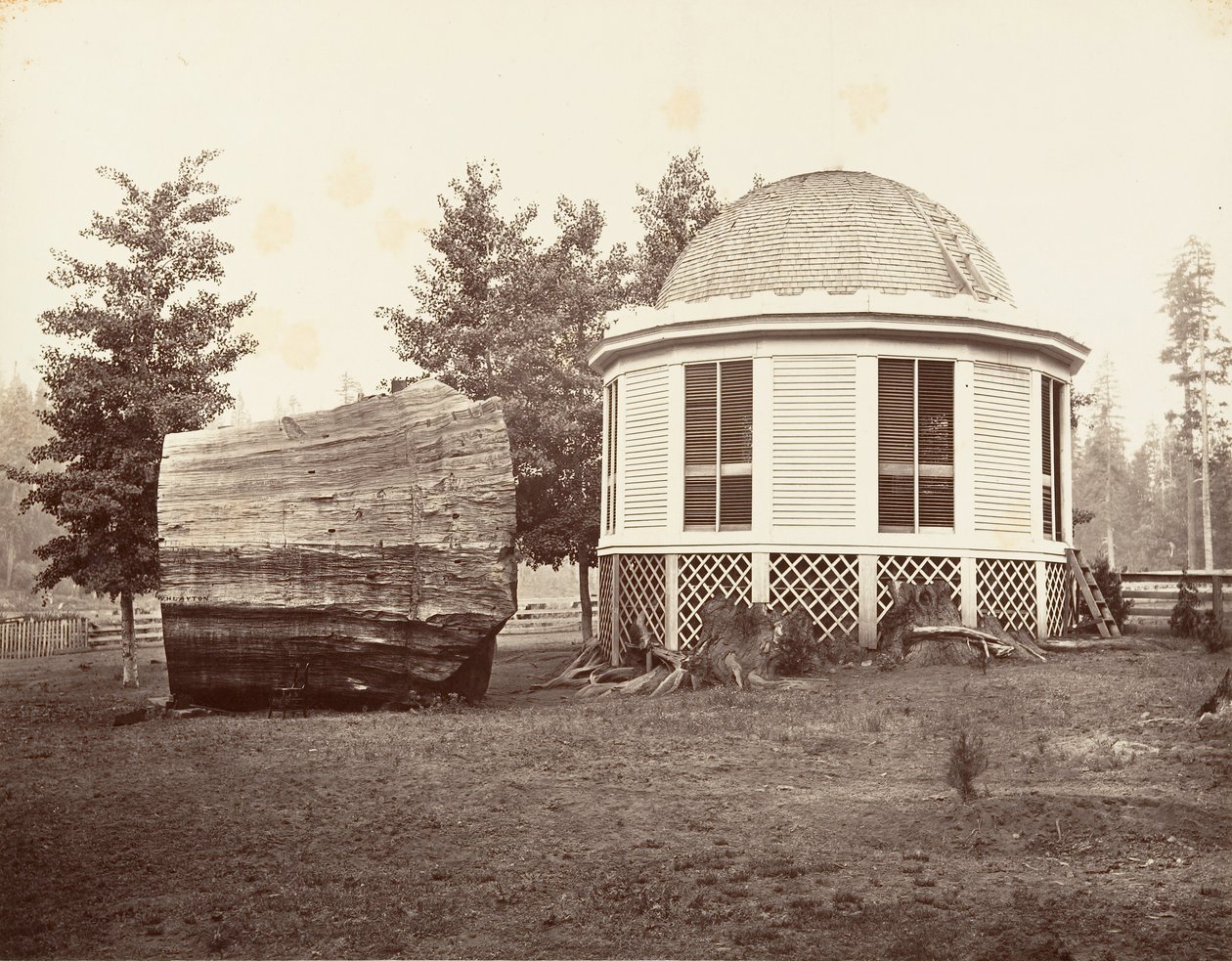 Büyük Bir Ağacın Kütüğü Üzerindeki Ev, 1865-66, yaklaşık olarak basılmıştır. 1876. by Carleton Emmons Watkins