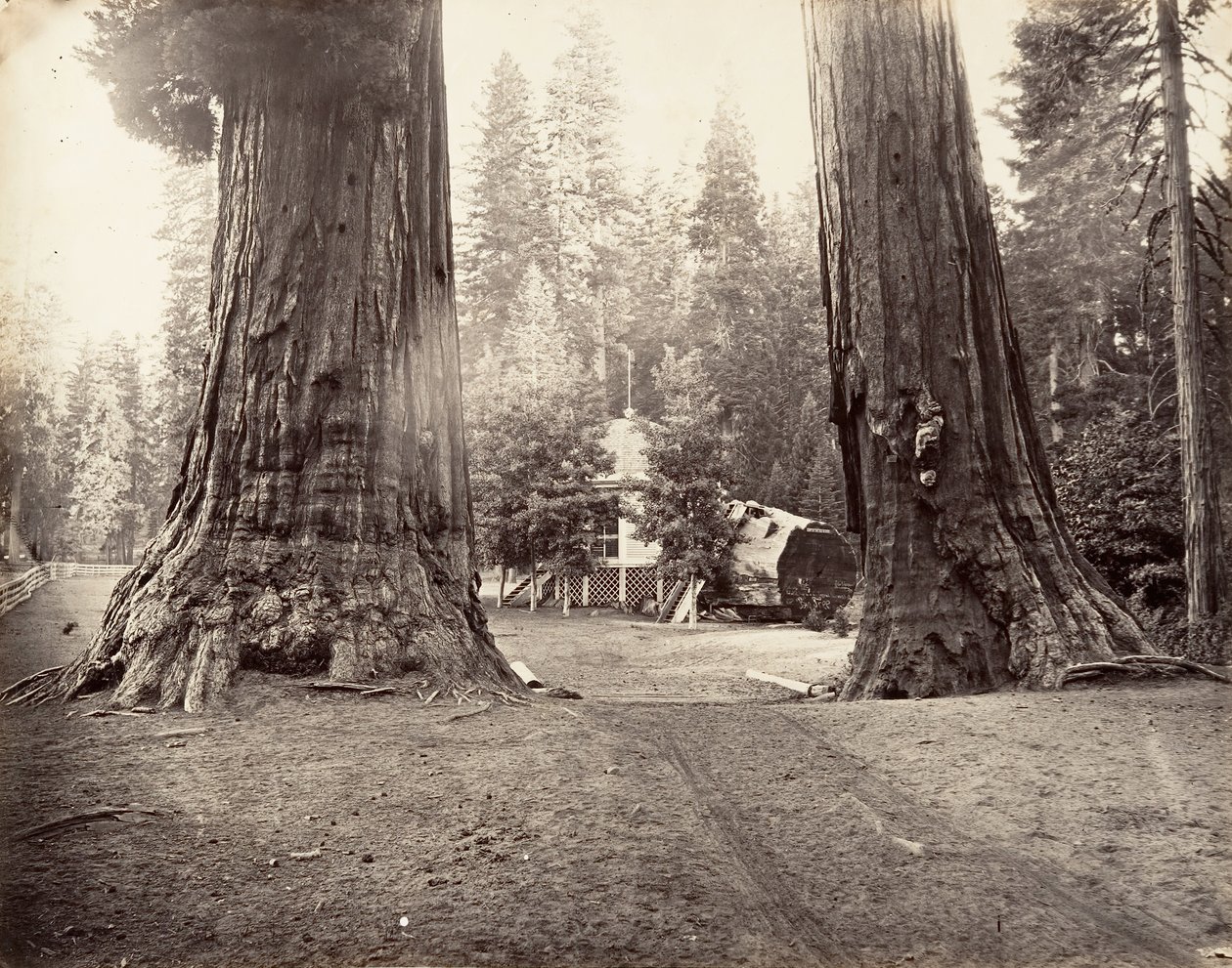 Sentinels, 315 fit, Yosemite, yaklaşık. 1872, basılmış yaklaşık. 1876. by Carleton Emmons Watkins