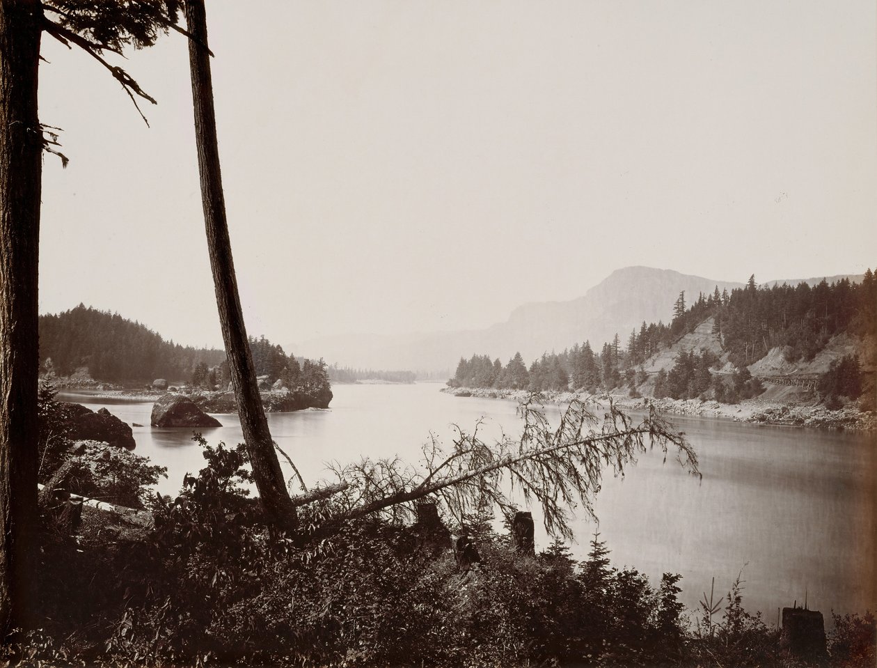 Columbia