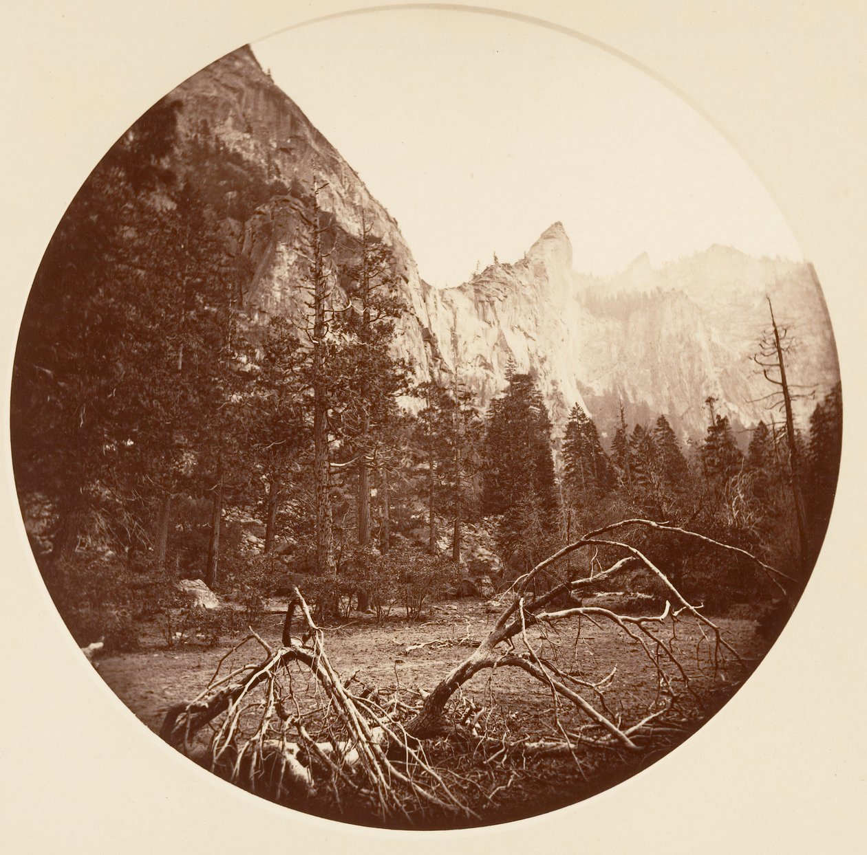 [Yosemite Ulusal Parkı, Kaliforniya], yak. 1878. by Carleton Emmons Watkins