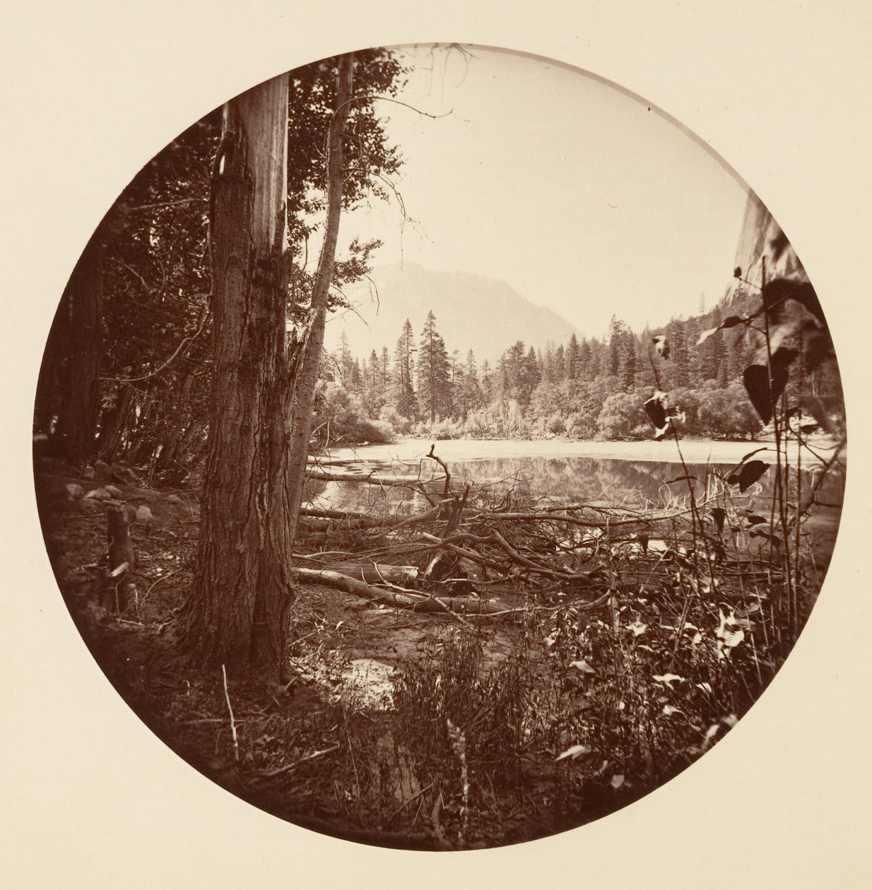 [Yosemite Ulusal Parkı, Kaliforniya], yak. 1878. by Carleton Emmons Watkins