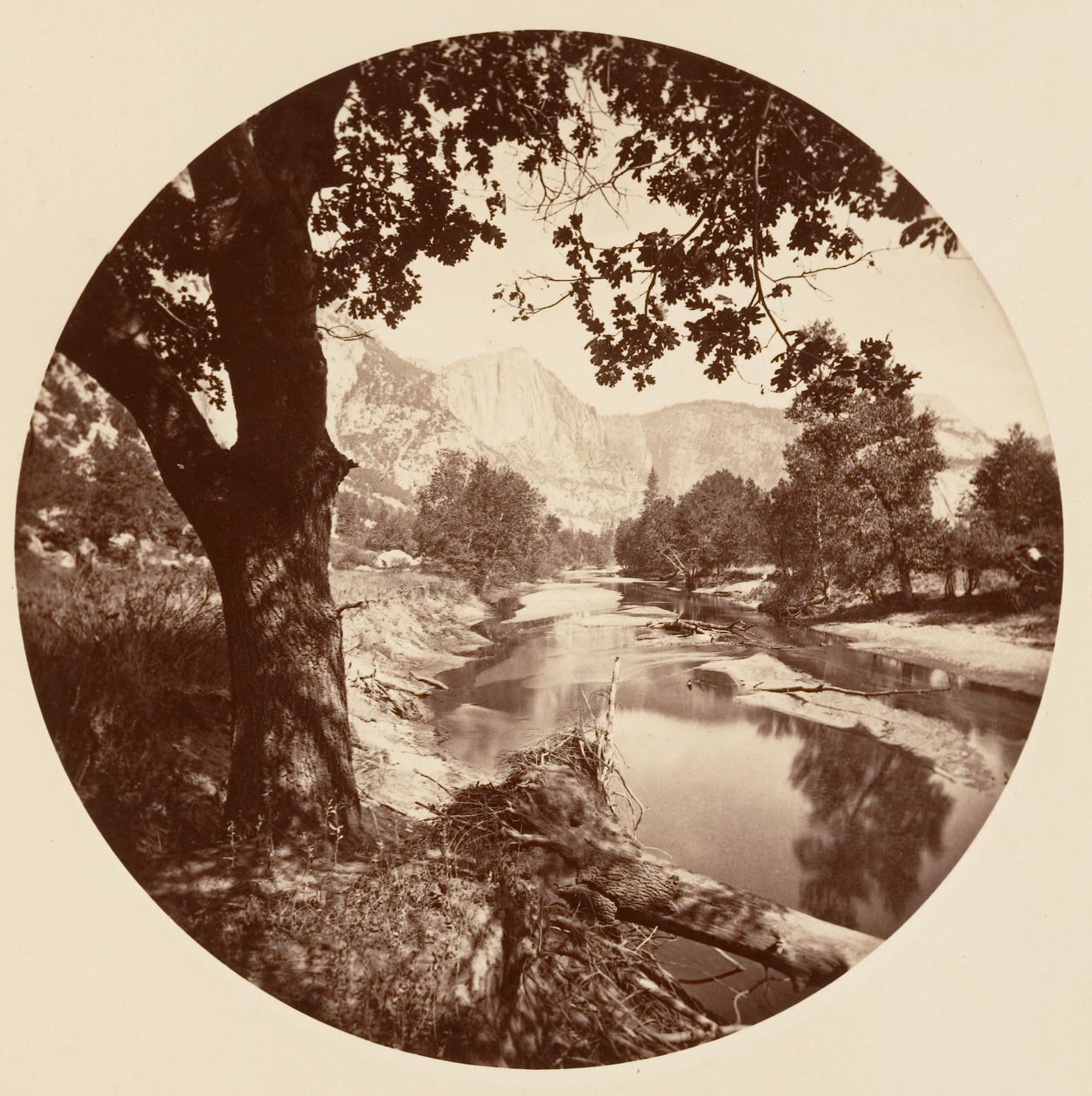 [Yosemite Ulusal Parkı, Kaliforniya], yak. 1878. by Carleton Emmons Watkins