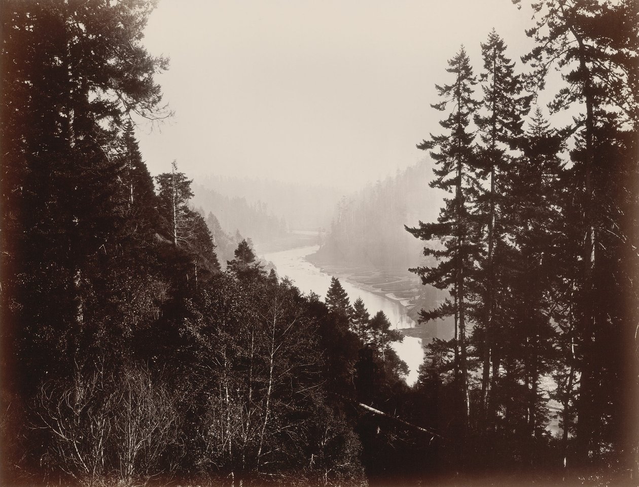 Rancherie, Mendocino, California